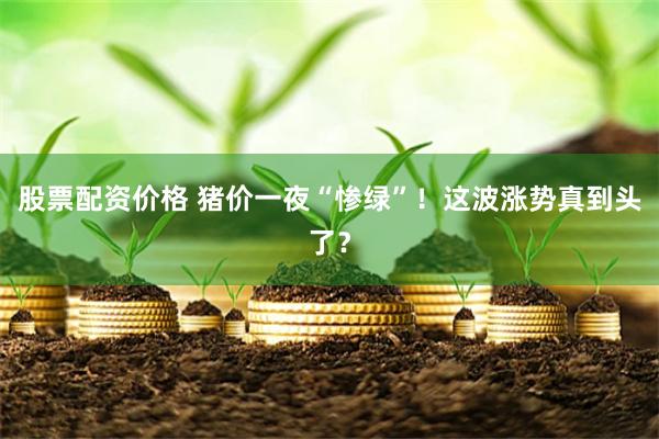 股票配资价格 猪价一夜“惨绿”！这波涨势真到头了？