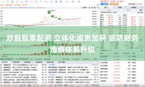 炒股股票配资 立体化追责加码 惩防财务造假体系升级