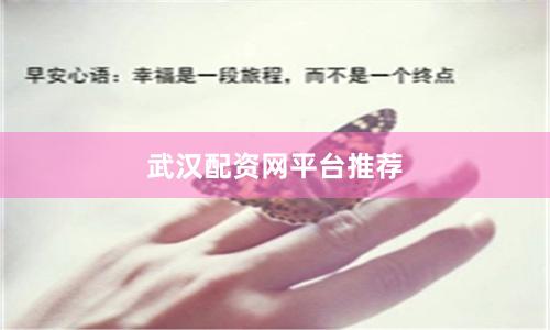 武汉配资网平台推荐